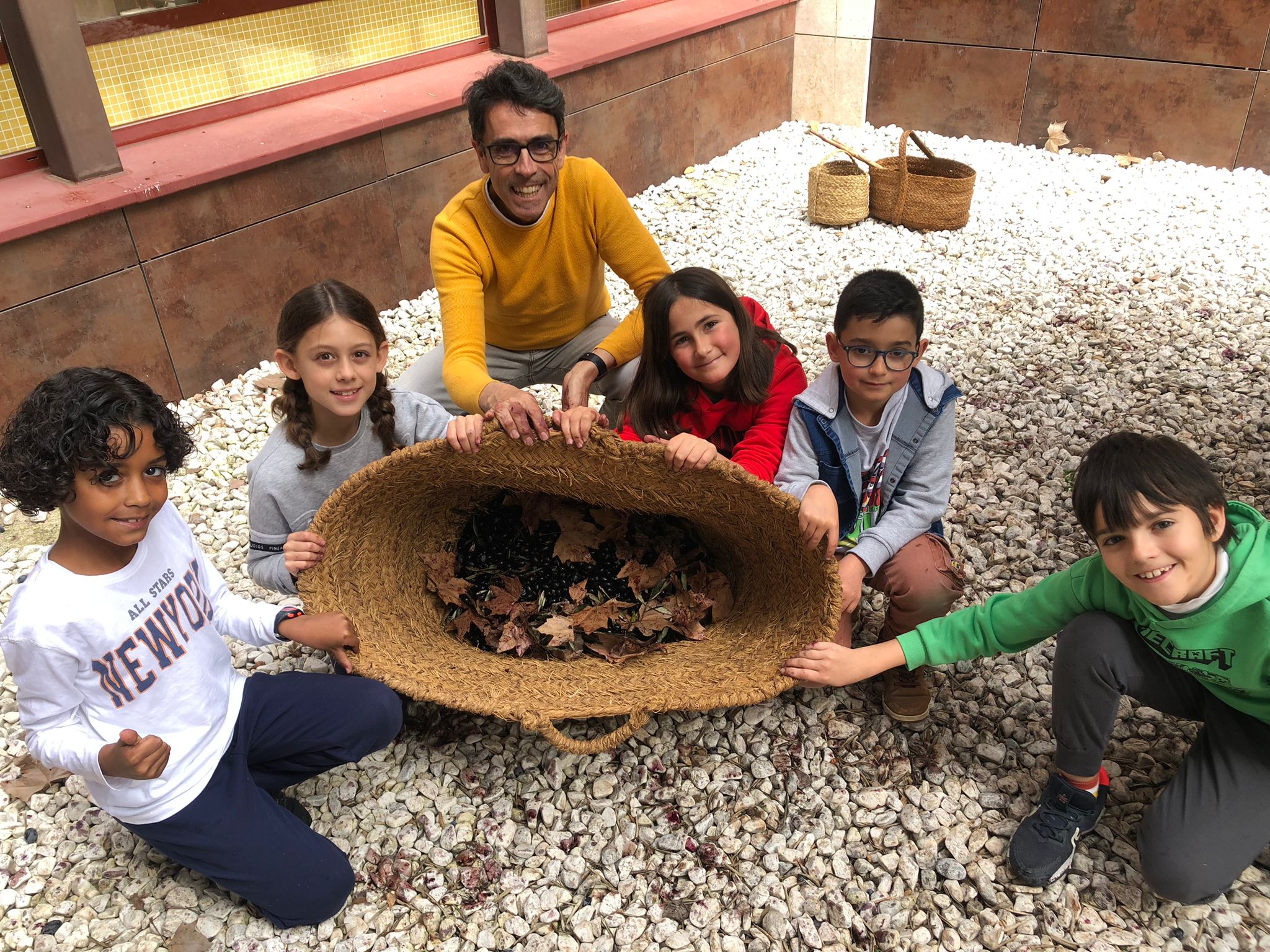 Campaña de aceituna tardía en el colegio