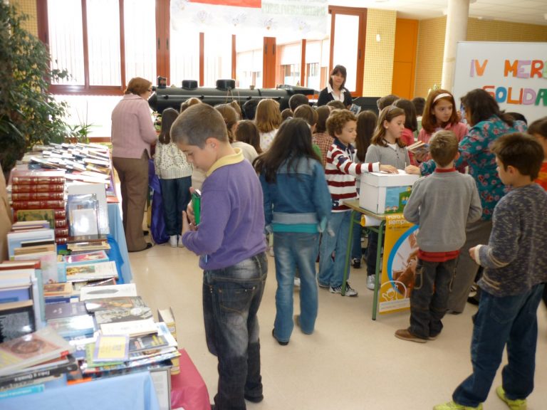 Recogida de libros usados para mercadillo solidario de Afanion